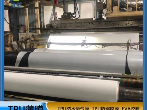 TPU薄膜生產廠家